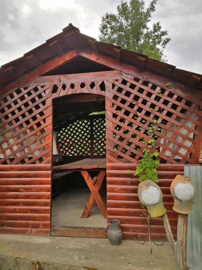 У Катерини Dvozhets Exterior foto